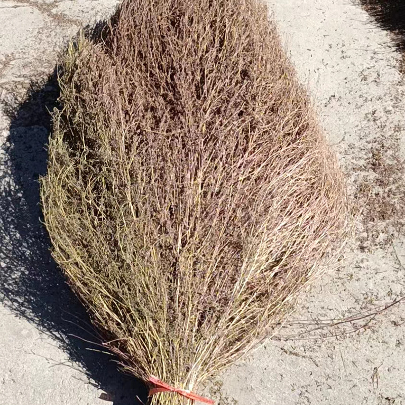 清洁环卫马路扫把竹扫把庭院扫帚手工大扫把室外马路芨芨草笤帚