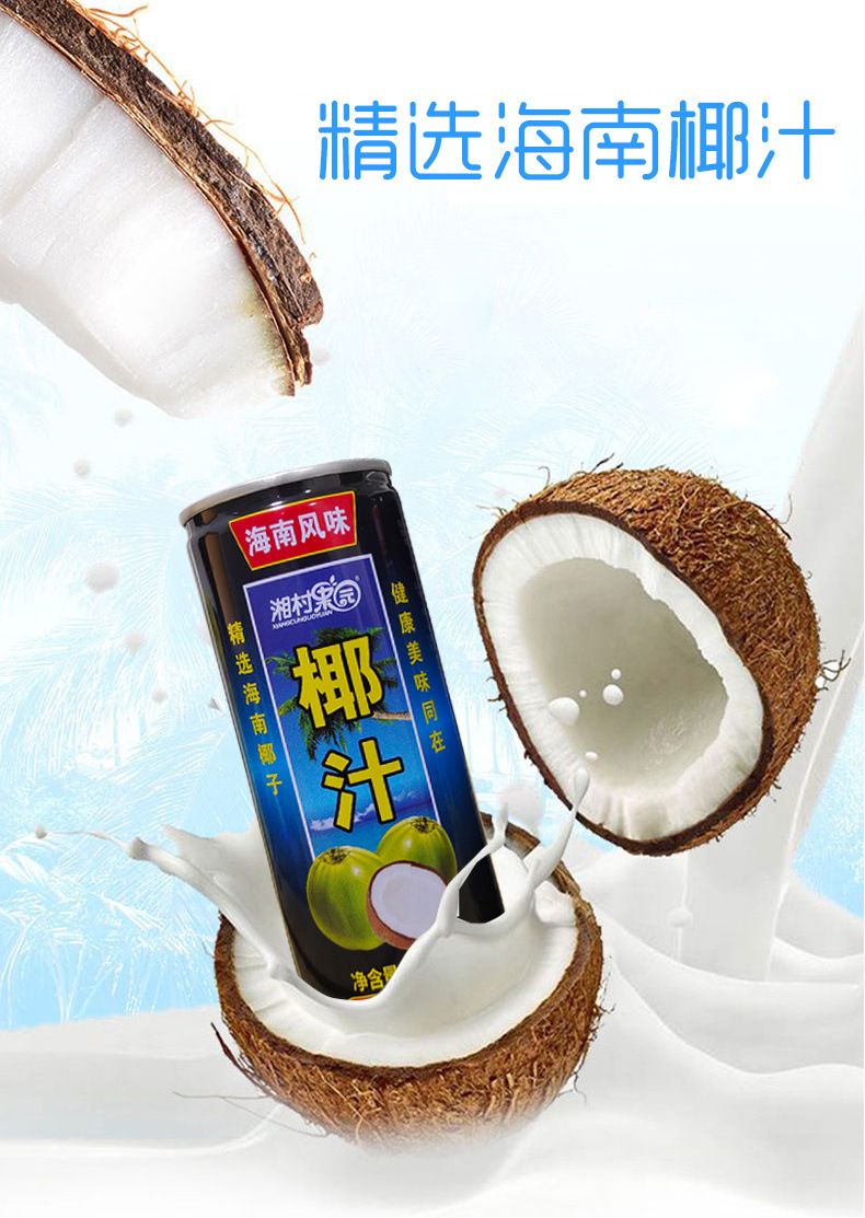 海南风味生榨椰子汁饮料240ml*罐礼盒装果味椰奶饮品整箱商用批发