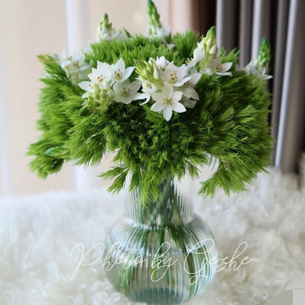 香港行政区区花