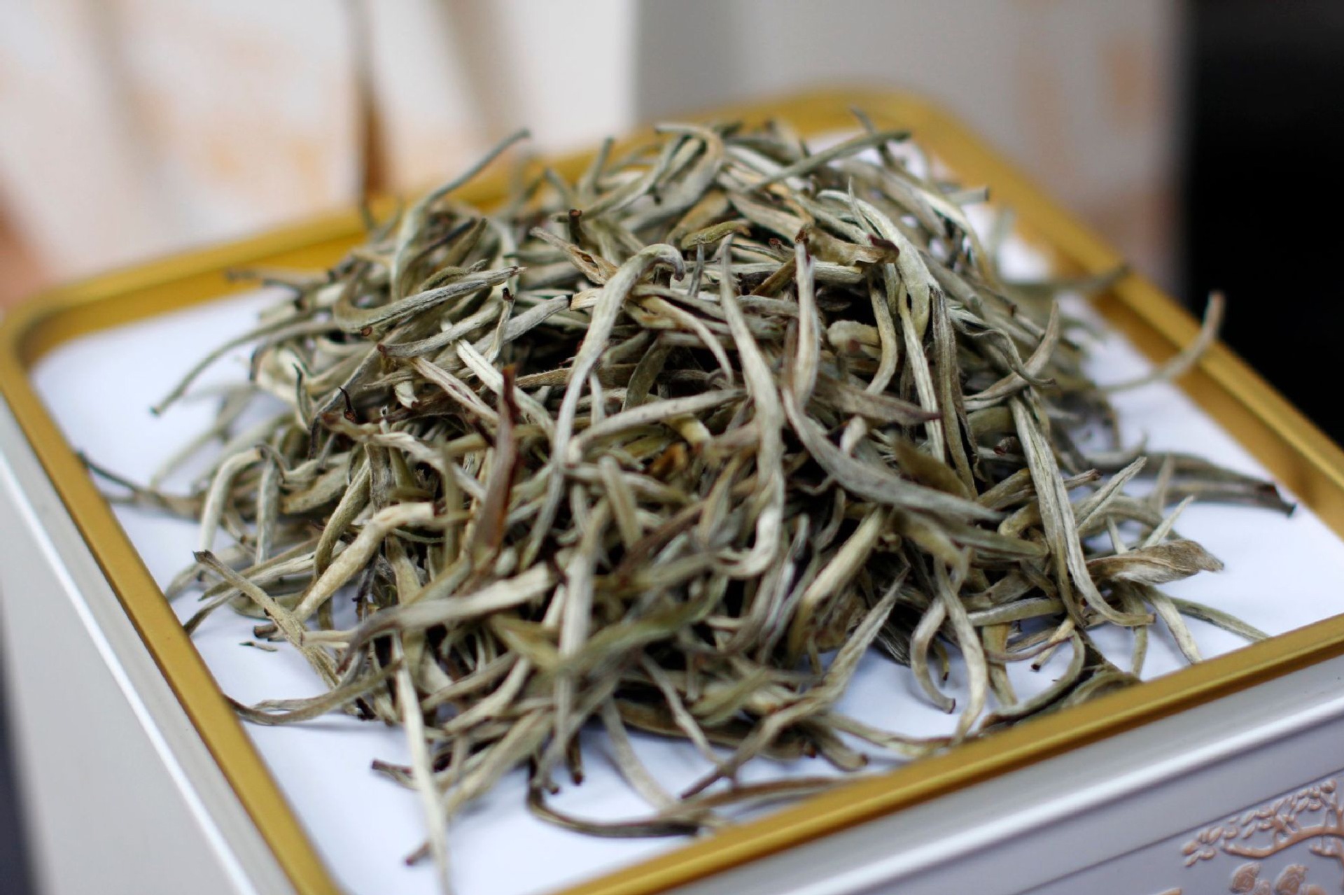 云南普洱茶批发 头春月光白单芽 景谷大白毫银针 500克礼盒罐装茶