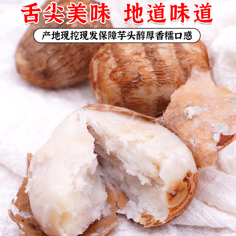 山东牛奶芋头新鲜现挖小毛软糯香滑农产品芋艿新鲜蔬菜竽头小香芋