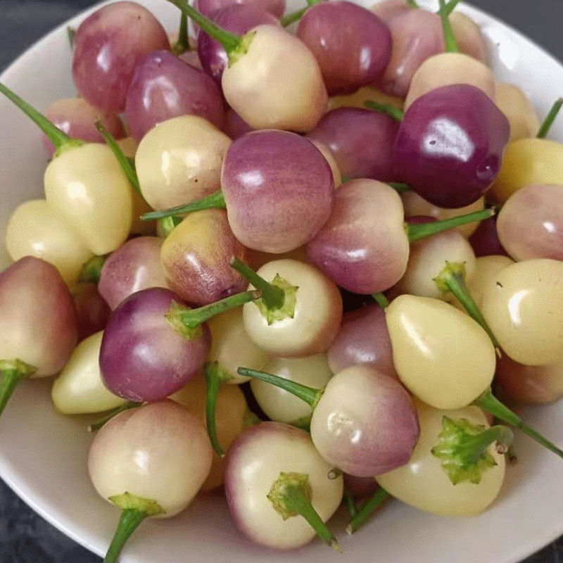 【中大果】广西特产新鲜七彩辣椒小灯笼泡椒五彩椒生辣椒5色椒