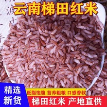 2斤云南红米红米农家种植红米云南紫米食用粗粮1斤批发