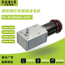 5882-45直流减速电机12V24大扭矩涡轮蜗杆自锁马达低速调速正反转