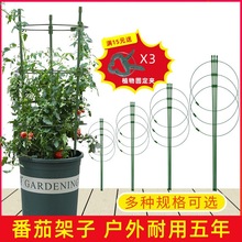 种植箱爬藤架藤本月季铁线莲花架支撑杆家用铁艺花盆架子室内花卉