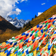 藏族无字经幡7米1条20面五色彩旗藏式装饰用品民族风