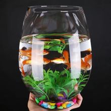 高白透明金鱼缸圆形办公桌生态创意水族箱生态缸家用水培玻璃鱼缸