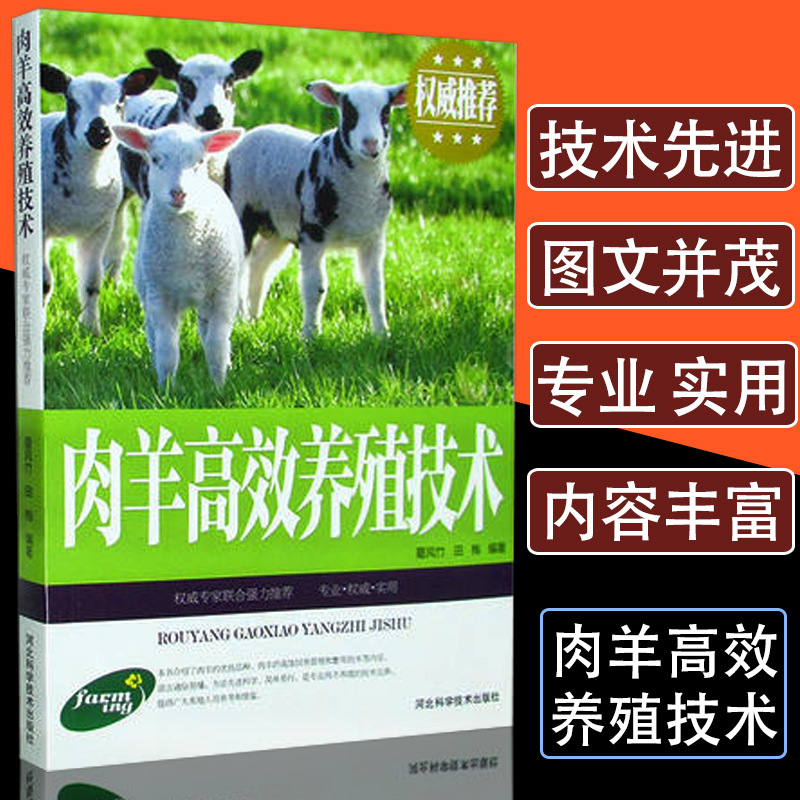 肉羊养殖技术羊病快速鉴别诊断养羊技术书籍大全综合全书防治实用