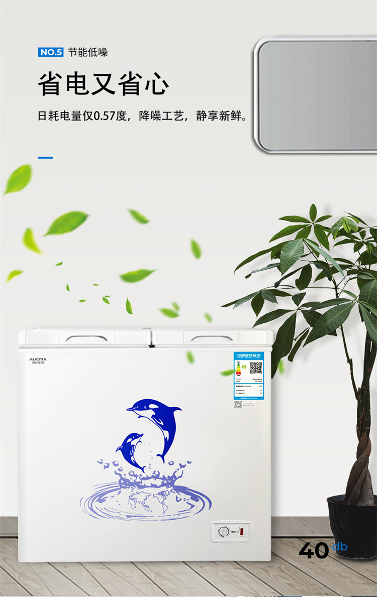 澳柯玛家用商用冰柜 双箱双温冷柜冷藏全铜管 bcd-211cne