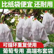无纺布葡萄套袋水果露天纸袋防虫防鸟防水袋子柚子莲雾专用布袋