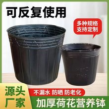 水盆 无孔营养钵 加厚塑料睡莲不漏水 荷花盆 碗莲盆 荷花营养杯