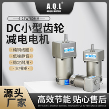 AQL奥奇力 DC小型齿轮减速电机6-120W 纯铜线圈厂家直发斜齿型D型