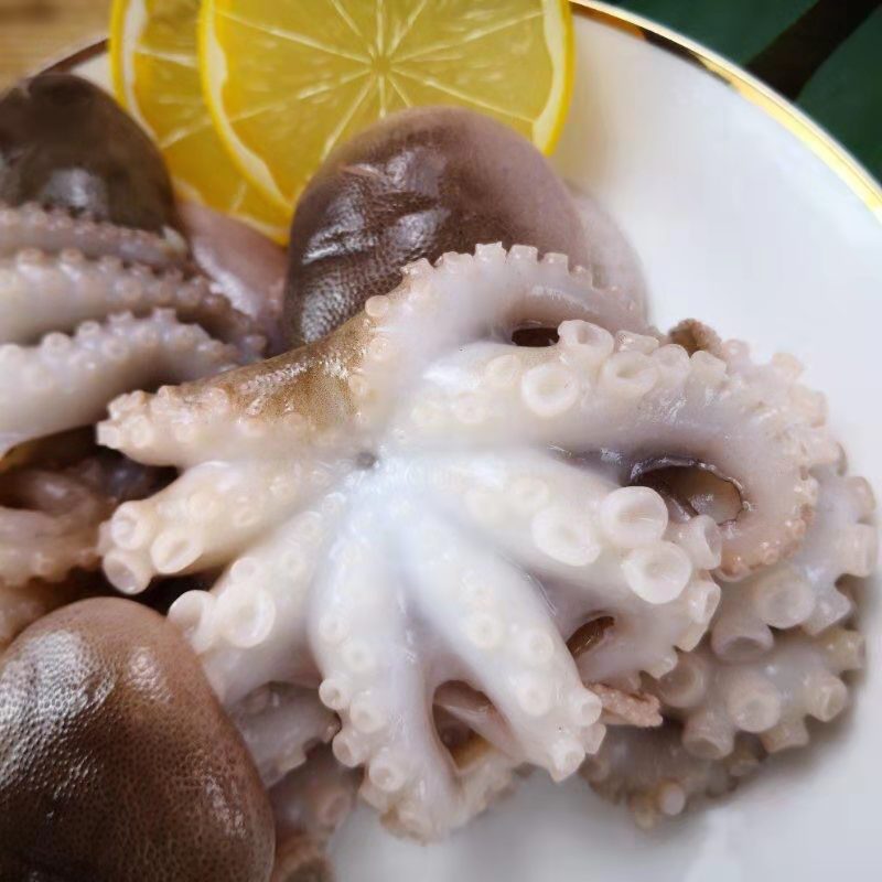 八爪鱼鲜活新鲜冷冻八爪鱼墨鱼仔随机发海鲜即食麻辣火锅食材