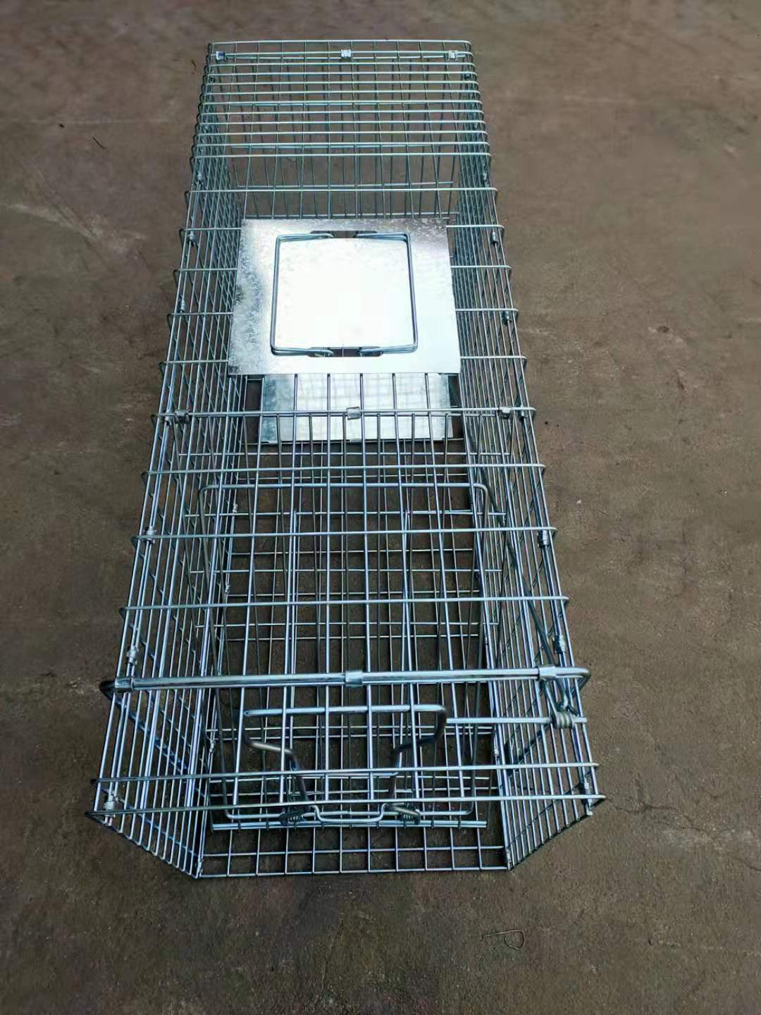 鹌鹑下蛋笼方便鸽子厂家人道捕捉笼折叠鹌鹑笼中号踏板式陷阱清理