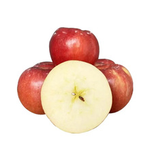 陕西新品种瑞香红苹果新鲜脆甜应季当季苹果一件代发