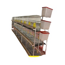 厂家采购三层立式肉鸡笼各种鸡笼养殖设备输送带 喂料机外贸批发