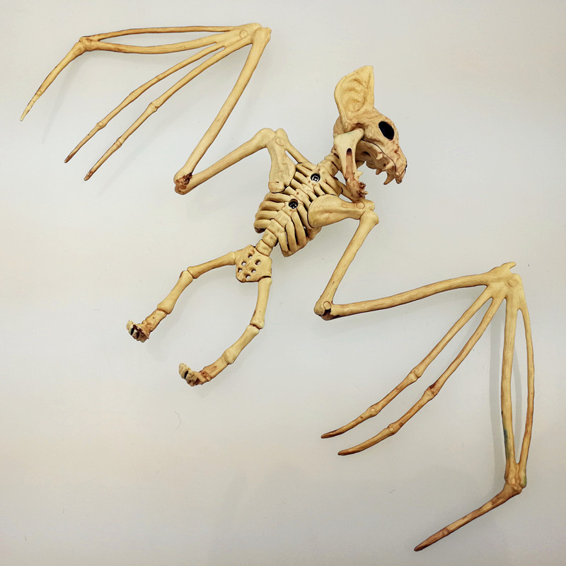 巨型蝙蝠王骨骼图片