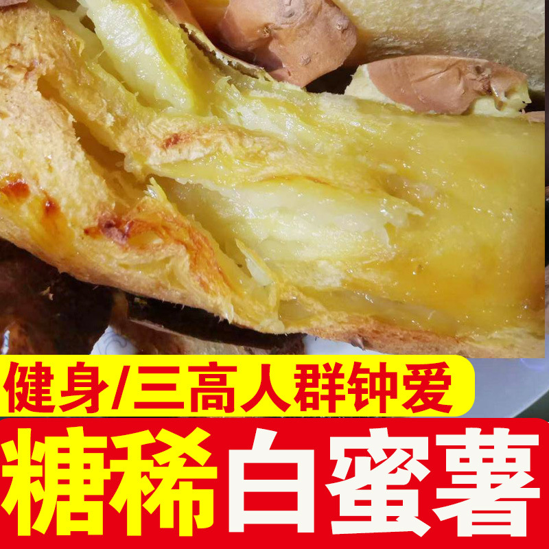 冰糖心白玉蜜薯糖稀白心沙蜜瓤红薯白哈密地瓜密署番薯白薯山东