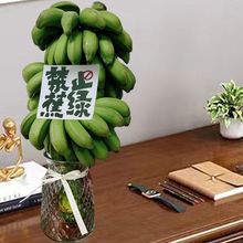 整串带杆芭蕉花办公室水培小米香蕉新鲜连果插花绿植
