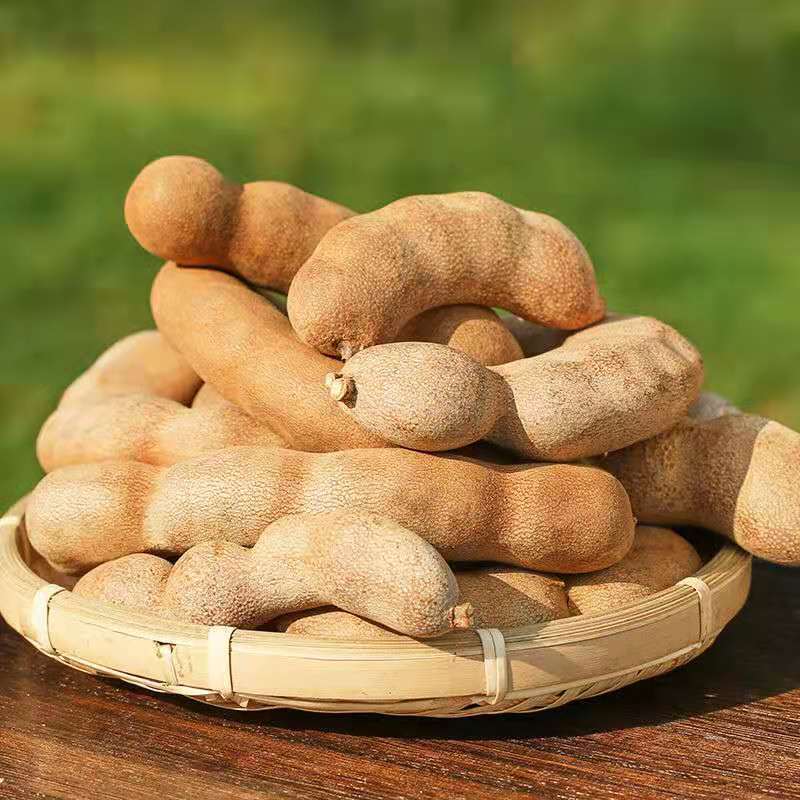 【散装酸角】-散装酸角厂家,品牌,图片,热帖-阿里巴巴