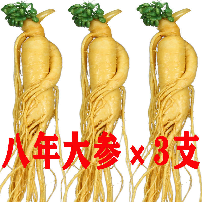 【包邮】【长白山人参】新鲜湿参保鲜参东北特产人参酒滋补药