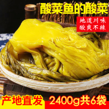 四川特色泡酸菜2400共6袋鱼酸菜老坛腌酸菜酸菜鱼泡菜泡青菜泡椒