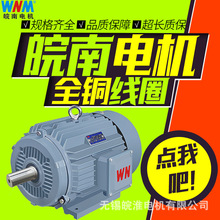 皖南电机YE4高效率三相异步电动机1.5kw2.2kw4kw5.5kw7.5kw11kw