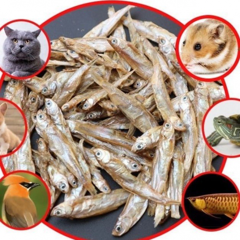 猫咪冻干猫小鱼干淡水无盐增肥发腮幼猫营养补钙猫食美毛磨牙猫粮