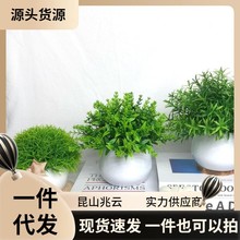 绿植盆栽新款真花真盆景植物小盆栽摆件家居客厅室内摆设