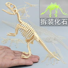 考古拆装恐龙骨架 大号动物恐龙化石夜光玩具霸王龙厂家批发跨境