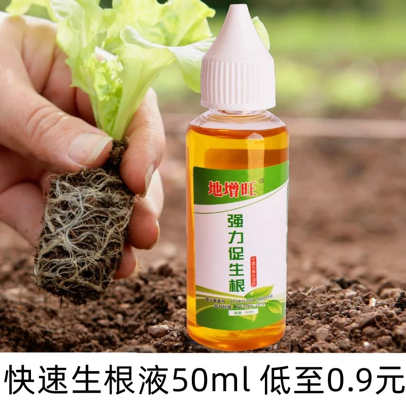 生根粉移栽