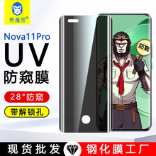 华为Nova11Pro防窥膜UV钢化膜蓝猩曲面Nova10/9/8手机保护膜适用