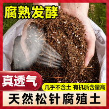 腐熟松针腐殖土兰花多肉营养土养花土通用型种菜专用土天然腐叶土