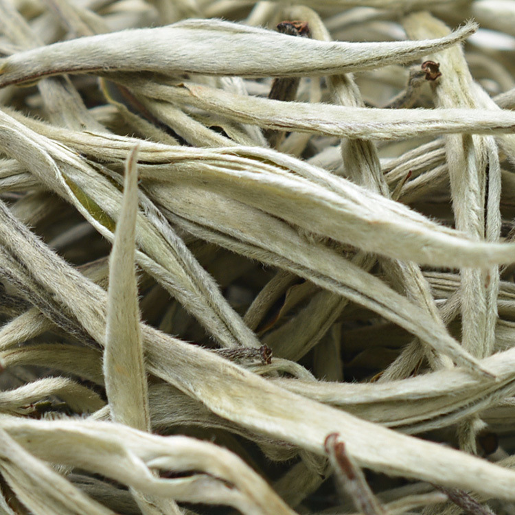 白毫银针普洱茶生茶景谷大白茶纯芽头古树茶月光白月光美人白茶
