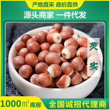 厂家批发500g装肇庆芡实 五谷杂粮散货鸡头米打粉糕点代用茶原料