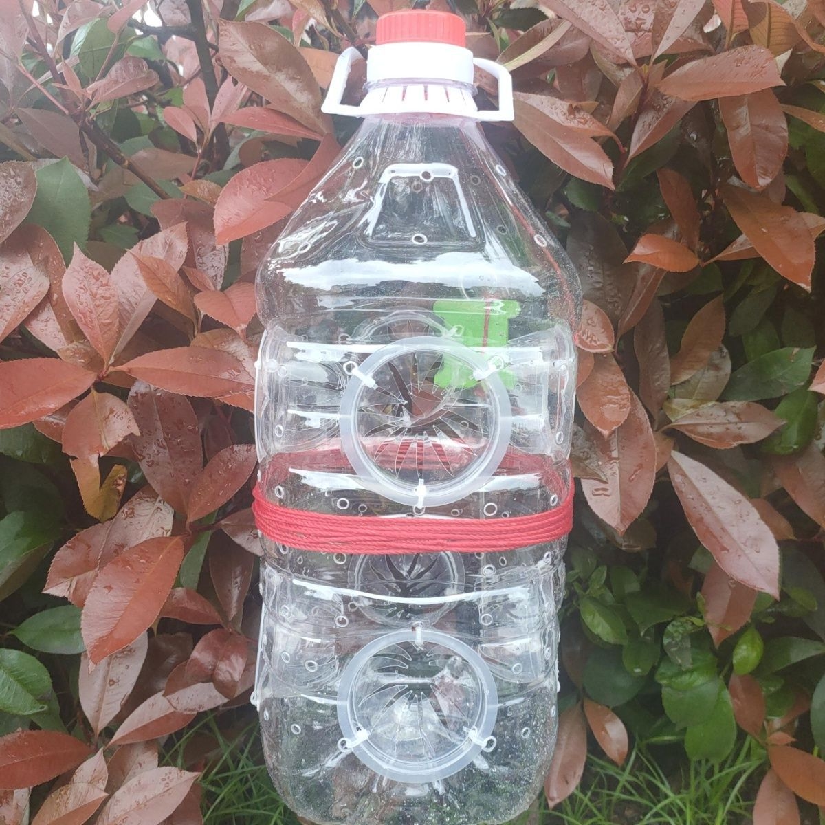 2成交83件仿竹编虾笼 塑料 鱼笼 竹编 黄鳝笼 泥