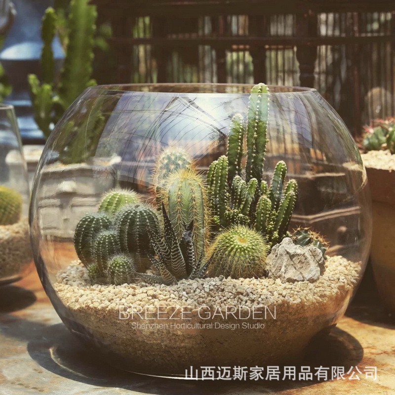 批发大小鱼缸透明圆形圆球玻璃金鱼缸水培微景观花瓶桌面生态鱼缸