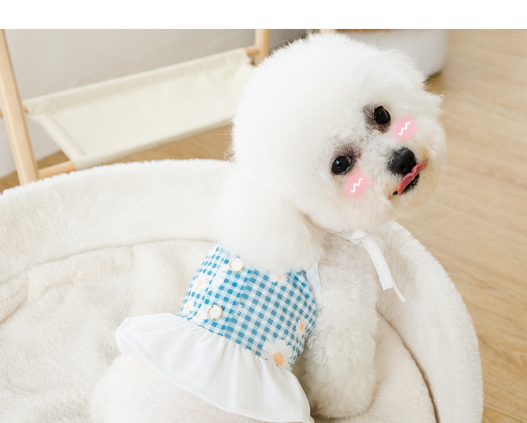 可爱薄款小狗狗衣服夏天背心吊带裙猫咪英短泰迪比熊小型犬公主裙