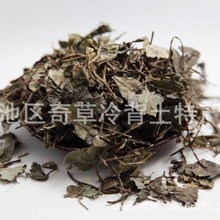 平地木 矮地茶中药材500克叶下红 叶底红 矮脚樟雪里珠中草药