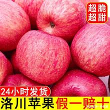 陕西洛川苹果水果新鲜红富士冰糖心延安当季整箱10斤