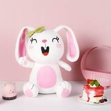 网红卡通动物兔子儿童毛绒玩具可存礼物摆件可爱女孩落地新款批发