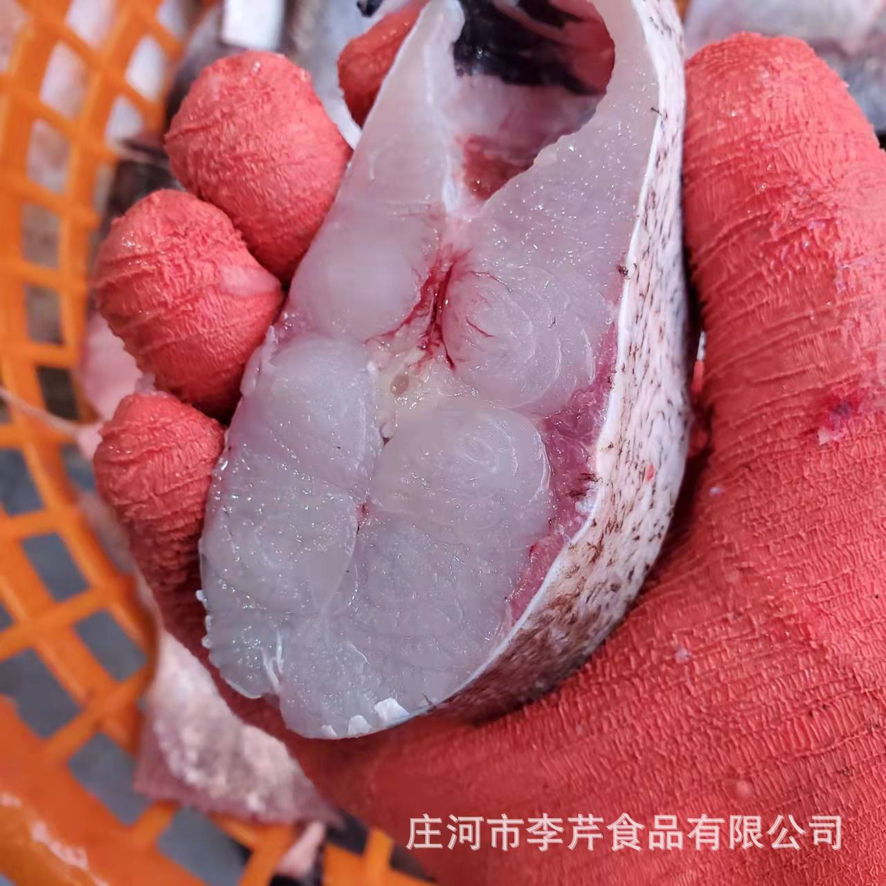 李芹活鱼 新鲜鳙鱼肉黑鲢鱼肉 肉质饱满液氮冷冻 全国冷链发货