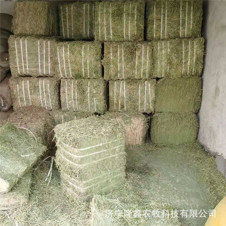 苜蓿草干草 苜蓿干草捆 兔子干草牛马羊养殖场饲草批发苜蓿草