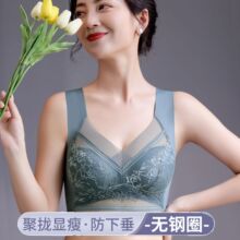 夏季蕾丝裹胸美背内衣女聚拢无刚圈固定罩杯无痕背心式睡眠文胸