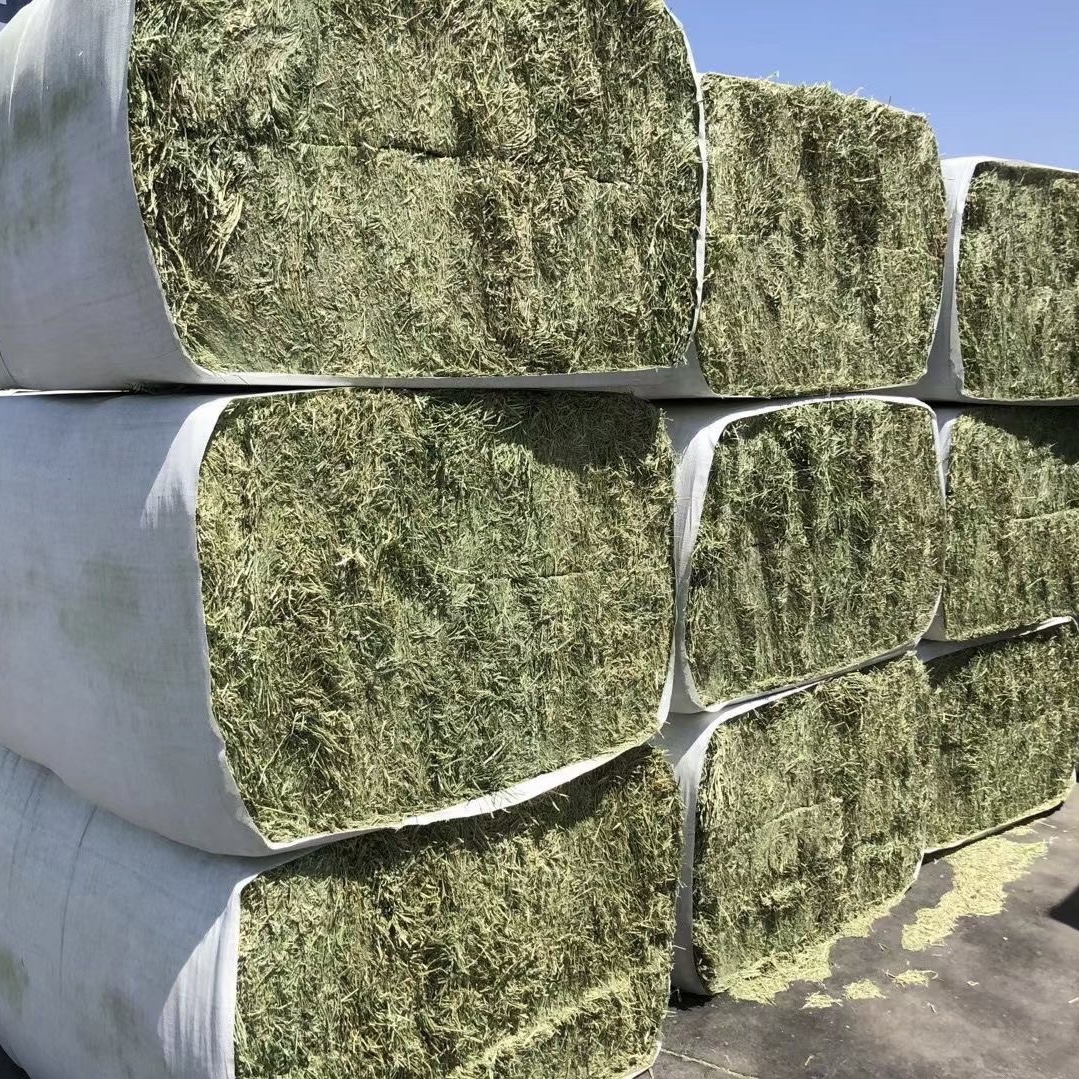 兔子干牧草龙猫美国级苜蓿草1吨直荷兰猪马场羊驼饲料牧草兔子