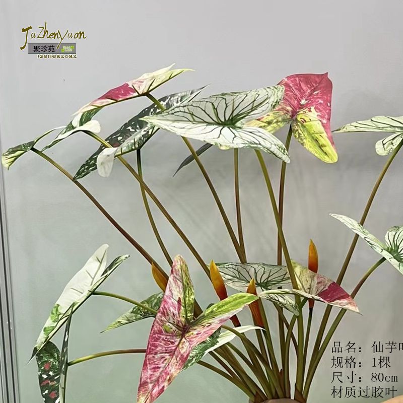 海芋仙芋叶萨丽安叶龟背竹叶火鹤王叶绿蔓绒叶绿植仿真水晶花烛叶