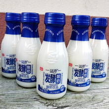 椰泰口口淳酸奶常温280毫升6瓶12瓶24瓶乳酸菌发酵营养酸牛奶饮品