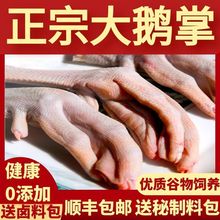 新鲜生鹅掌批发生冷冻鹅爪 鹅手黑棕鹅掌生鹅爪商用送料包