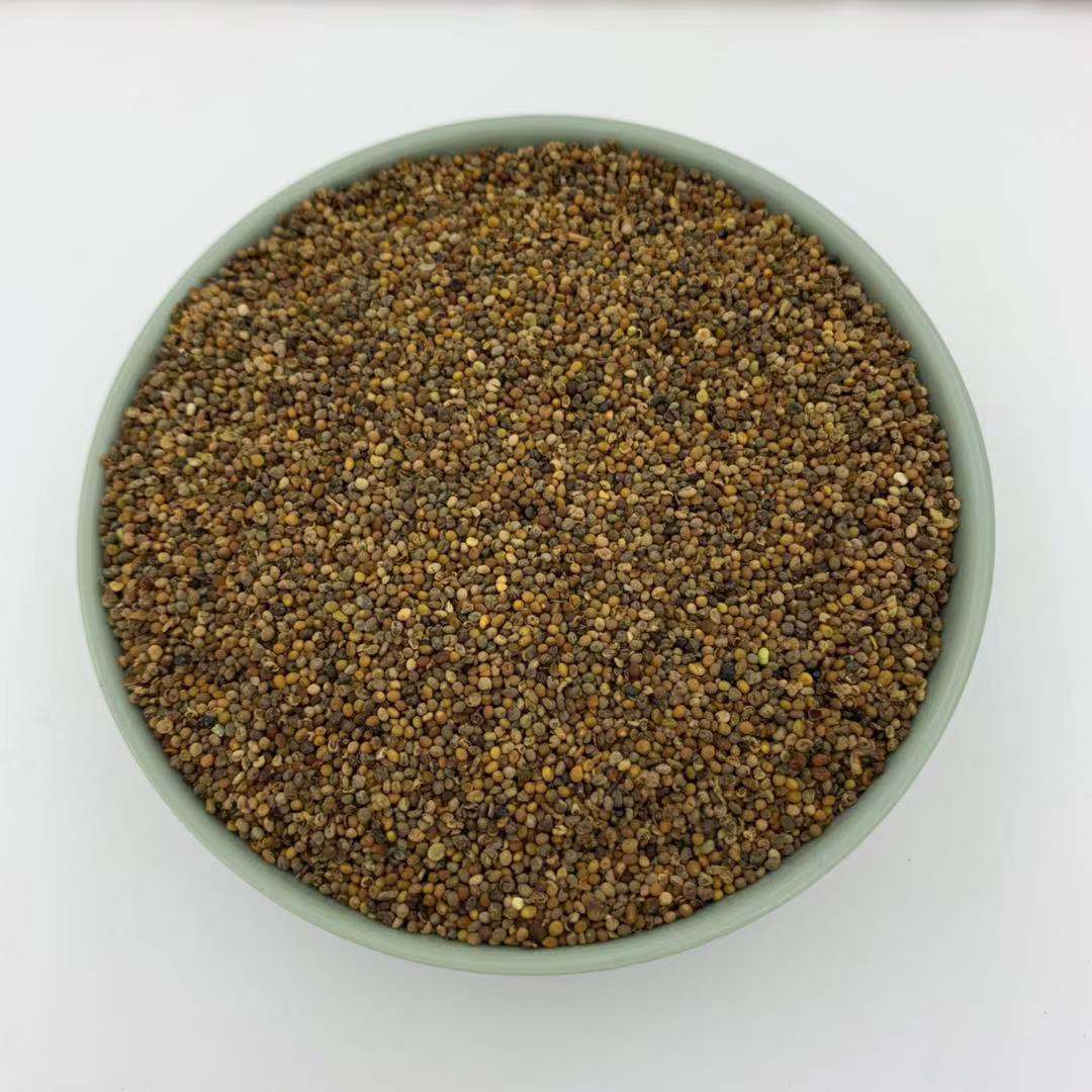 云南 野生菟丝子500g包邮 中药材正品 淫羊藿锁阳韭菜籽泡酒泡茶 图片