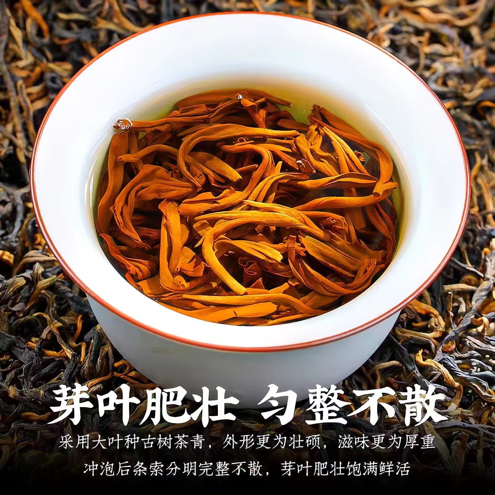 2024新茶滇红茶云南凤庆古树红茶蜜香浓香型茶叶金芽袋装500g